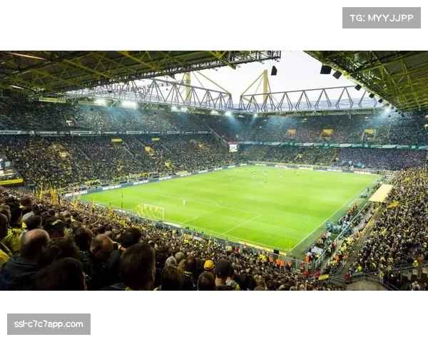 多特蒙德主场扩建南看台，站席容量创欧洲纪录