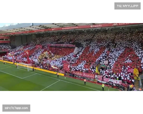 “你永远不会独行”歌声中,安菲尔德悼念昔日英雄若塔 “你永远不会独行”歌声中,安菲尔德悼念昔日英雄若塔