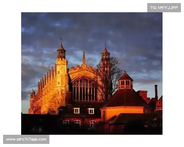 拳击文化内涵：超越功利的体育精神价值